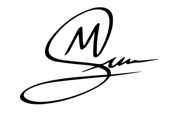 Overall Style and Form: The image features a highly stylized logo or signature, drawn with thick, flowing, connected lines, resembling calligraphy or artistic cursive.