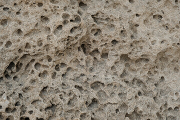 Detail of erosion on fossilized Quaternary aeolian oolite-dune