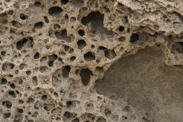 Detail of erosion on fossilized Quaternary aeolian oolite-dune at Los Escullos beach, Almeria