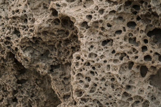 Detail of erosion on fossilized Quaternary aeolian oolite-dune at Los Escullos beach