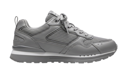 Gray Sneaker Isolated on White Background