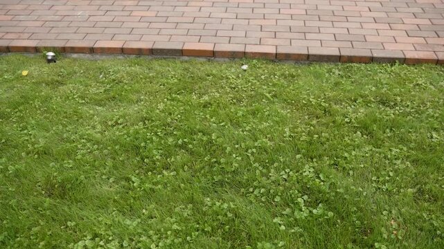 Paving stones creating outdoor walkway path background