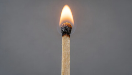 Close-up of a lit matchstick with a vibrant flame against a neutral background, showcasing the beauty of fire and the intricate details of the match head