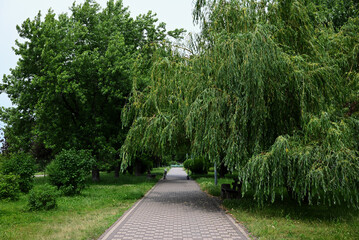 alley in the park