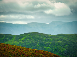 A serene view of a lush hillside leading to distant mountains.