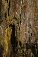 Vertical rock layers reveal a rich tapestry of earth tones, from deep browns to vibrant yellows. Weathering adds depth and texture.