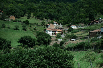 Mountain village in Northern Spain. Hillside village with scattered houses surrounded by lush greenery 