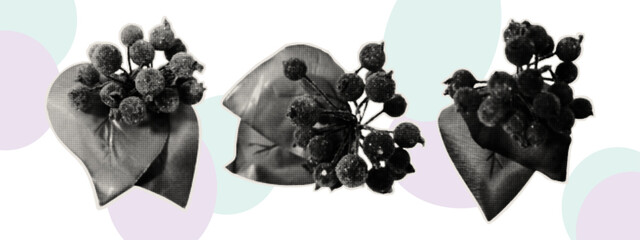 Winter berries covered with frost. A curved paper cutout for scrapbooking and collage. Vintage holly sticker with berries and leaves on an uneven shape with torn edges. Halftone vector illustration.