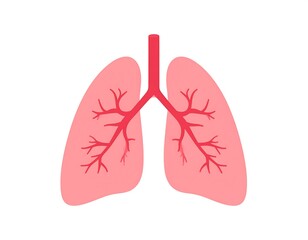 Fototapeta premium Simplified illustration of human lungs, highlighting the bronchioles, in a flat design style, white background