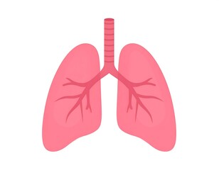 Simplified flat illustration of human lungs and respiratory system on white background