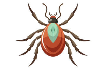 High-quality illustration of a tick insect with realistic detail and color. This vector graphic shows the tick’s body structure, legs, and texture, perfect for educational, scientific, and medical pur
