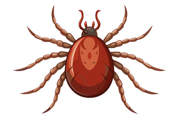 High-quality illustration of a tick insect with realistic detail and color. This vector graphic shows the tick’s body structure, legs, and texture, perfect for educational, scientific, and medical pur