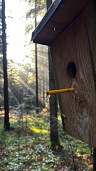 Wooden Birdhouse with Yellow Perch in Dreamy Forest