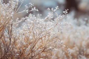 Obraz premium Delicate, sun-kissed wildflowers in soft focus against a blurred, muted background of browns and blues