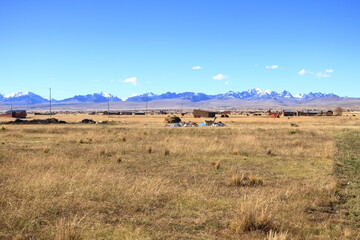 Obraz premium landscape in the north of Bolivia with the Cordilleras in the background