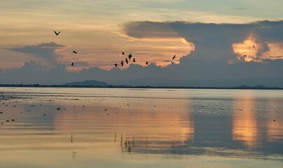 A flock of birds flying over a tranquil lake, just after sunset, in Thailand.
