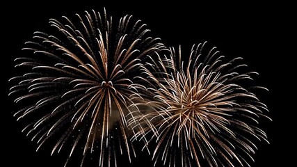 A vibrant fireworks display explodes in the night sky with bursts of orange and white sparks against a dark background.