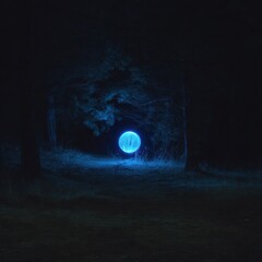 Glowing Blue Orb of Light on a Forest Path at Night light painting light orb