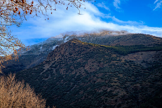 Paisaje de monta&ntilde;a con cumbre nevada y nubes bajas enmarcado por ramas de &aacute;rboles en invierno.