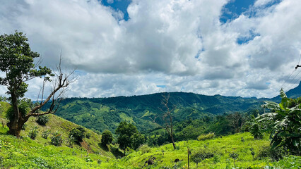 forest in the mountains Bandarban Bangladesh