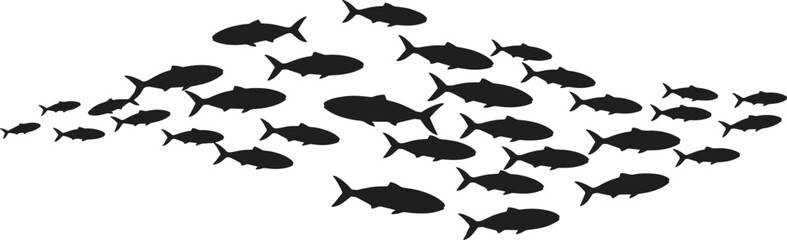 Group of Swimming Fish Vector