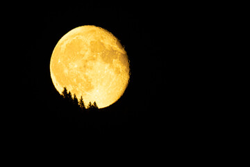 full moon in the night sky © Flamur