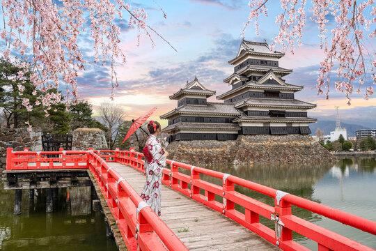 Japanese woman in a kimono on a red wooden bridge at Matsumoto Castle in Matsumoto, Nagano, Japan. and cherry blossoms in full bloom in spring.