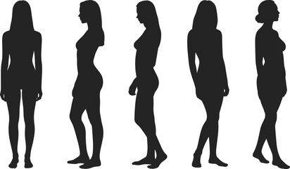 Mysterious foggy forest landscape, sunlight streaming through trees, tranquil nature scene, beautiful peaceful atmosphere, exploring the deep woods.b