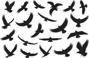 Group of diverse young students collaborating, working on a school project, learning and education concept, future knowledge development.