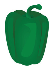Green bell pepper on white background, vector	