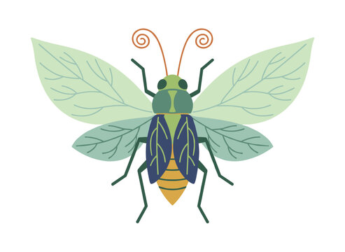 A stunning imaginary beetle, a fanciful bug species, a delicate insect with soft wings seen from above, an abstract phylliidae, rendered as a flat vector image on a white background