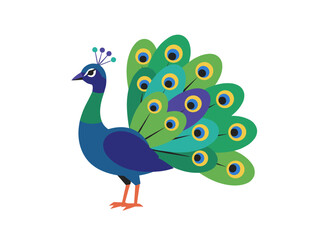A peafowl stands alone against a white backdrop, its elegant, exotic tropical plumage dazzling with bright colors in a flat cartoon illustration