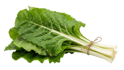 Fresh bunch of swiss chard isolated on transparent background
