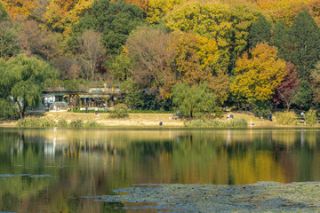 lake and forest in autumn