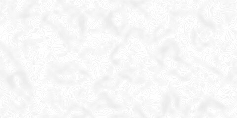 White topography topology vector white background fresh contour map texture. white seamless pattern Abstract background with a wave Topography and geography map grid abstract backdrop.