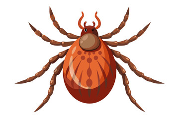 High-quality illustration of a tick insect with realistic detail and color. This vector graphic shows the tick’s body structure, legs, and texture, perfect for educational, scientific, and medical pur