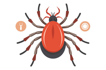High-quality illustration of a tick insect with realistic detail and color. This vector graphic shows the tick’s body structure, legs, and texture, perfect for educational, scientific, and medical pur