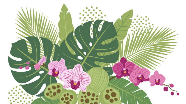 Tropical floral arrangement with pink orchids and monstera leaves vector illustration