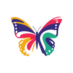 Colorful Butterfly with Abstract Wing Patterns.