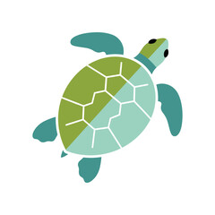 Green sea turtle swimming in the ocean.