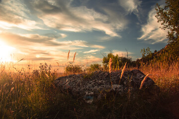 Sunset - evening light in the nature