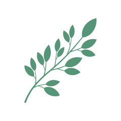 A delicate green branch with multiple leaves.