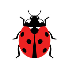 A simple red ladybug with black spots and a black head.