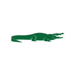 Green Crocodile Silhouette Isolated on White Background.