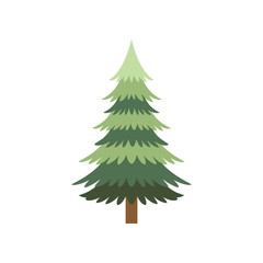Green Pine Tree Illustration on White Background.