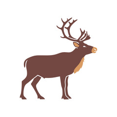 Majestic Reindeer Standing Proudly with Antlers.