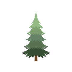 Stylized Evergreen Tree Illustration with Brown Trunk and Green Foliage.
