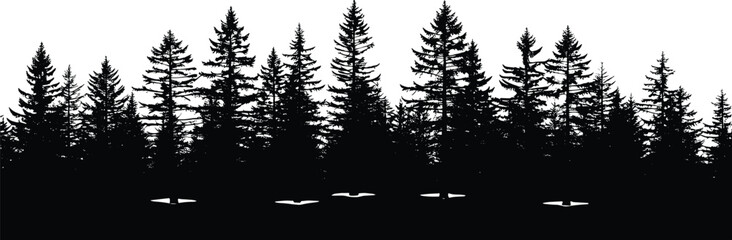 Silhouette of dense coniferous forest with snowy ground, ideal for winter, nature, or environmental vector illustration content © Umme