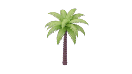 3D Palm Tree Isolated on White Background