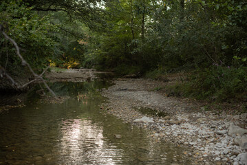 Fototapeta premium A serene riverbank scene with shallow water and pebbles. Lush green trees surround the area, reflecting a calm atmosphere.